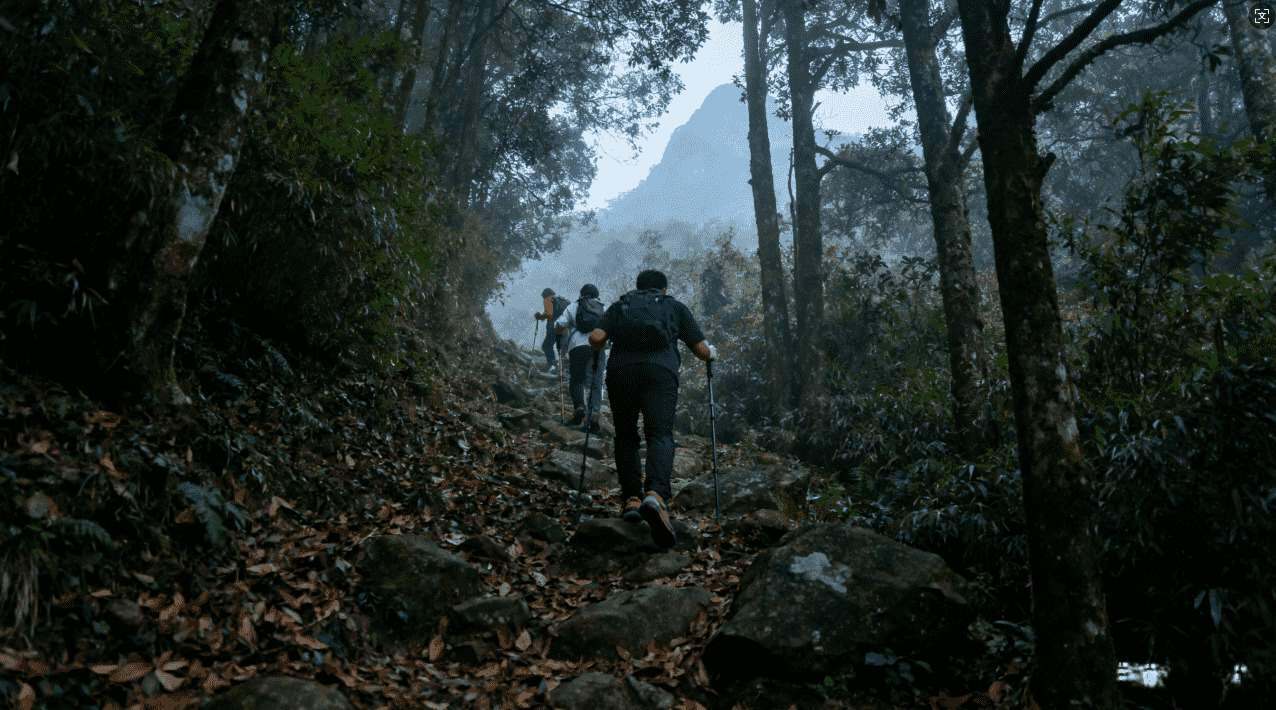 如何通过手机版袋鼠加速器实现流畅游戏体验